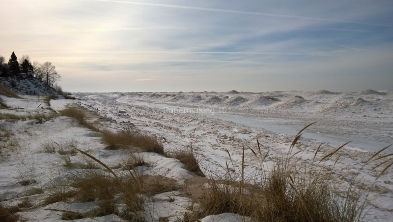 View from the dune